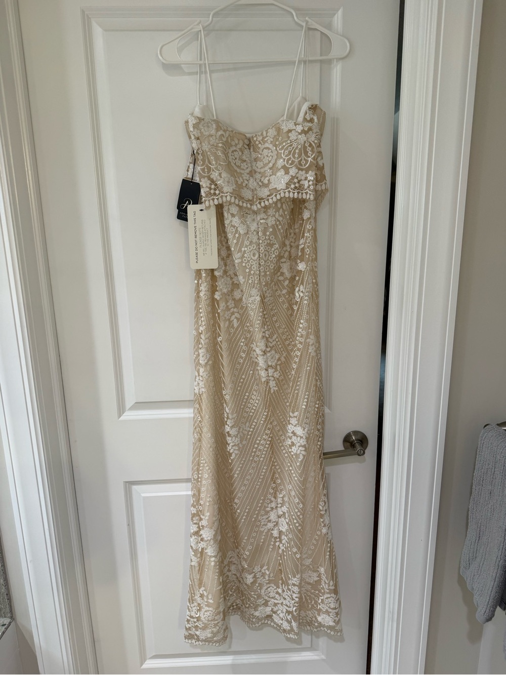 Adrianna Papell Champagne and White Lace Beaded Maxi Gown - Picture 7 of 9